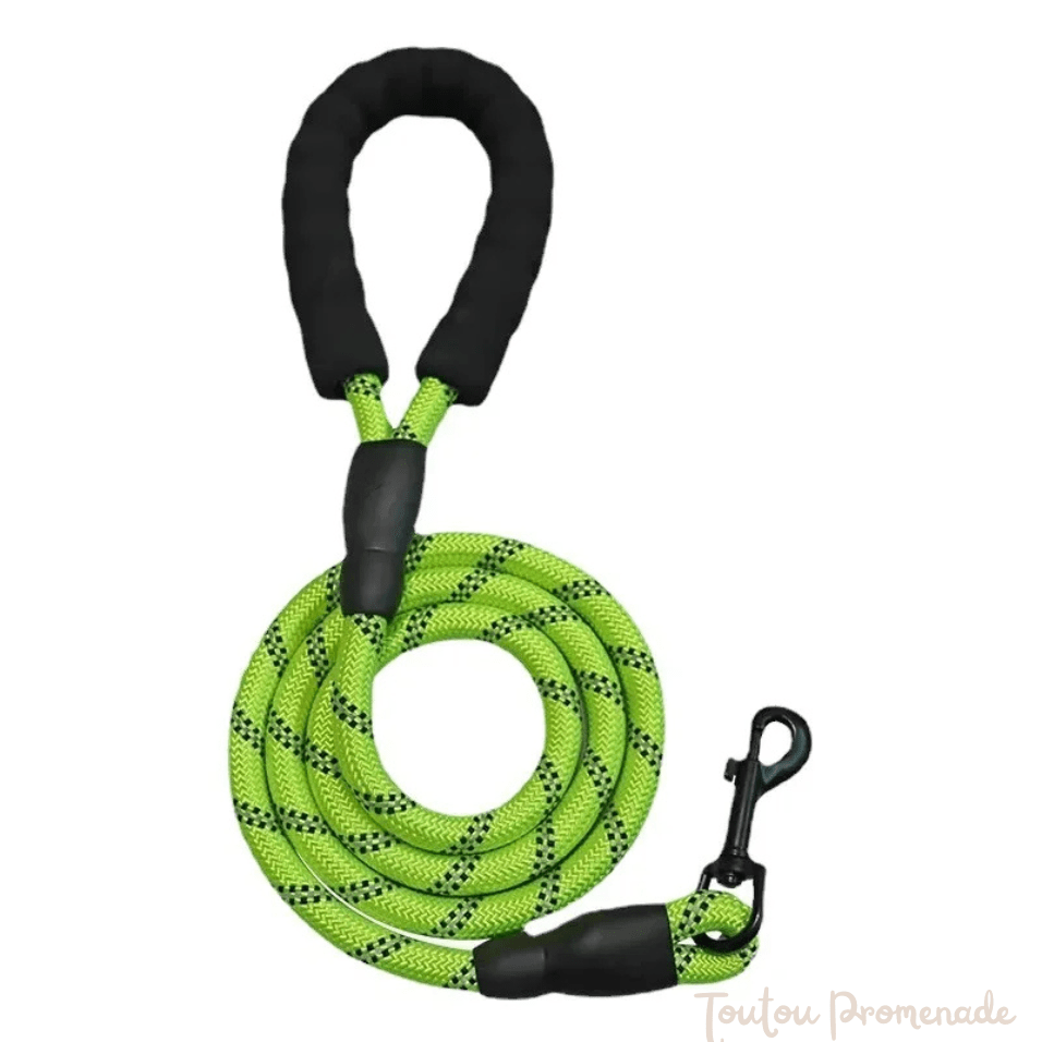 Laisse pour chien| ReflexGrip