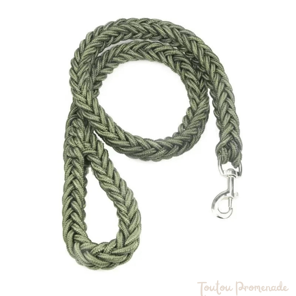 Laisse StrongHold ultra résistante en acier inoxydable pour chiens de grande taille avec poignée antidérapante