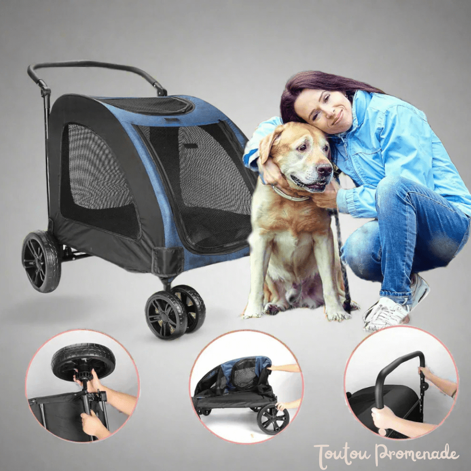 Vue du panier de rangement et système de pliage de la poussette StrollyPet