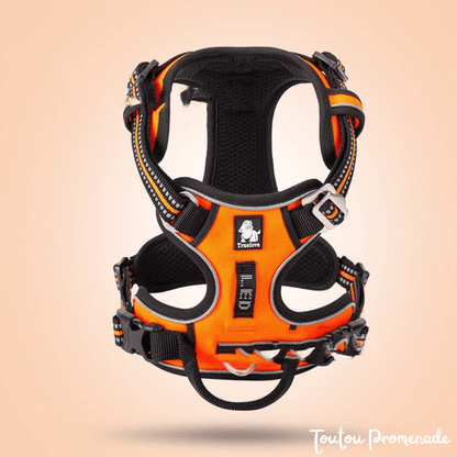 Harnais Chien Ajustable & Résistant | NylonFlex
