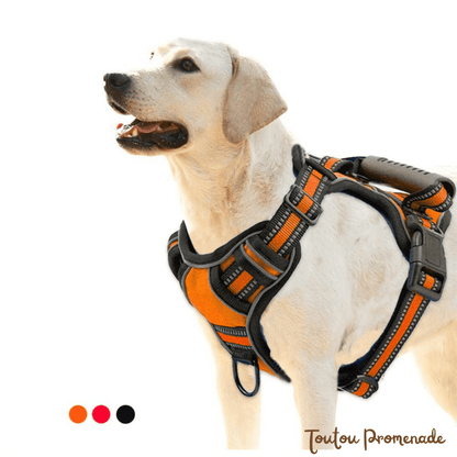 Harnais Chien Respirant & Anti-Traction | AirGuard