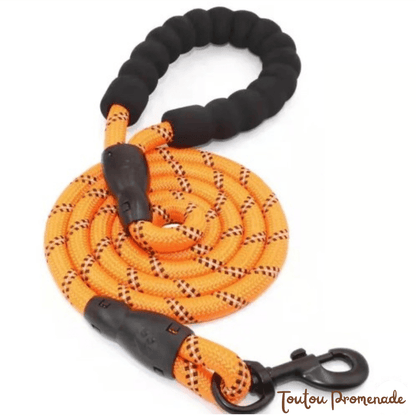 Laisse pour chien | ReflexGrip