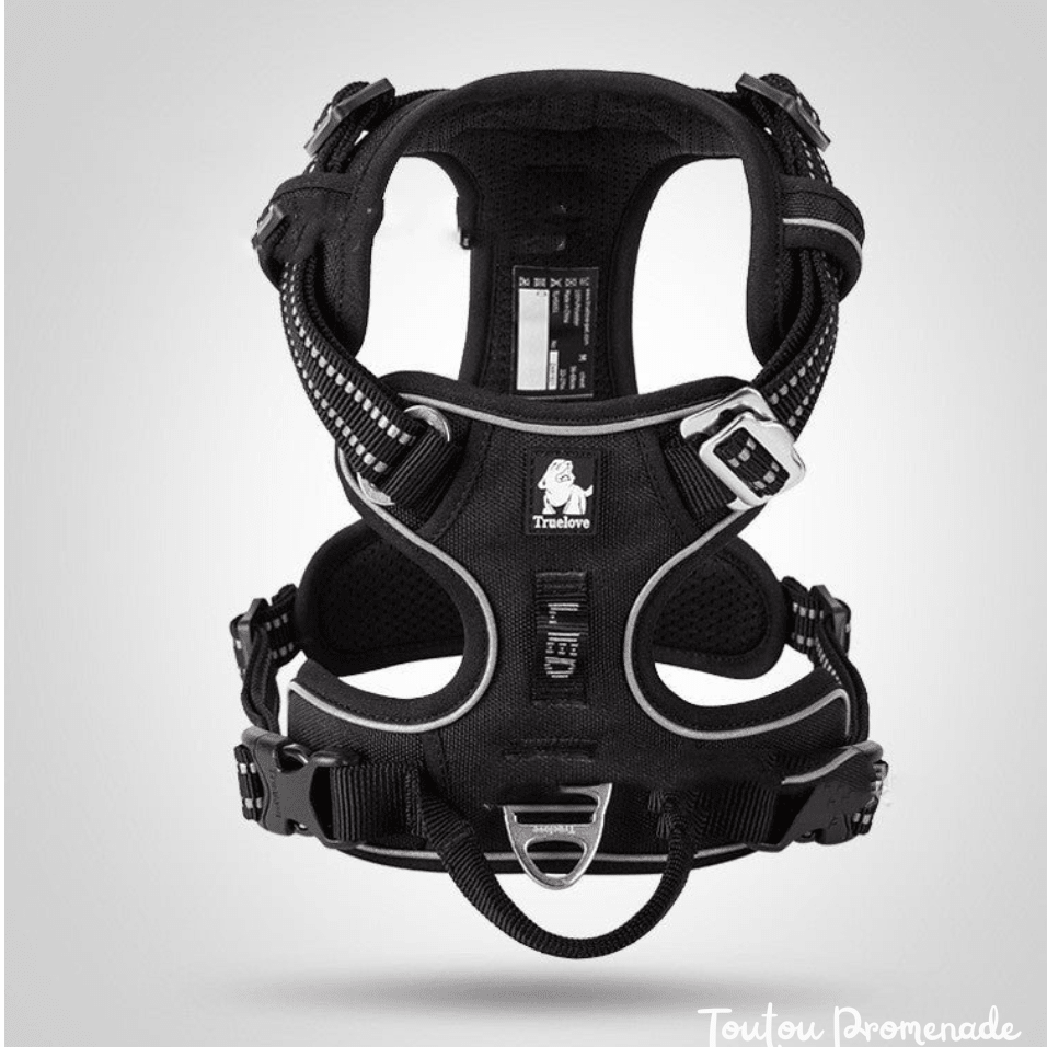 Harnais Chien Ajustable & Résistant | NylonFlex