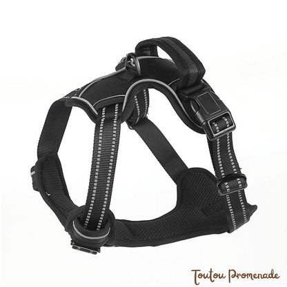 Harnais Chien Respirant & Anti-Traction | AirGuard