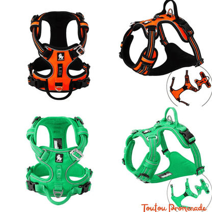 Harnais Chien Ajustable & Résistant | NylonFlex