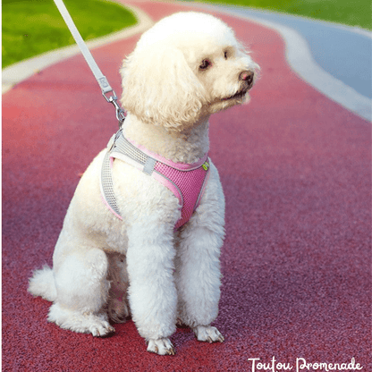 Harnais Chien Respirant & Réfléchissant | VestRun Pro