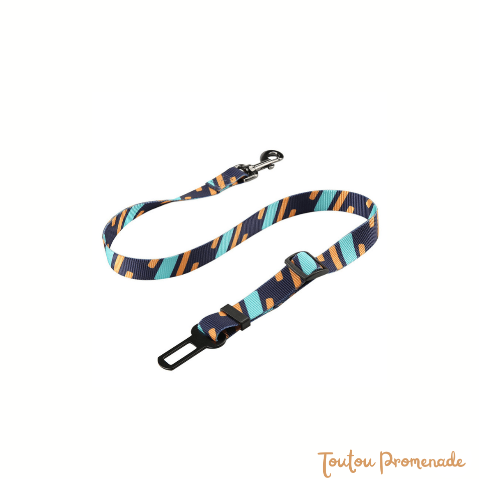 Ceinture de Sécurité Voiture pour Chien | SafeBelt