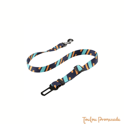 Ceinture de Sécurité Voiture pour Chien | SafeBelt