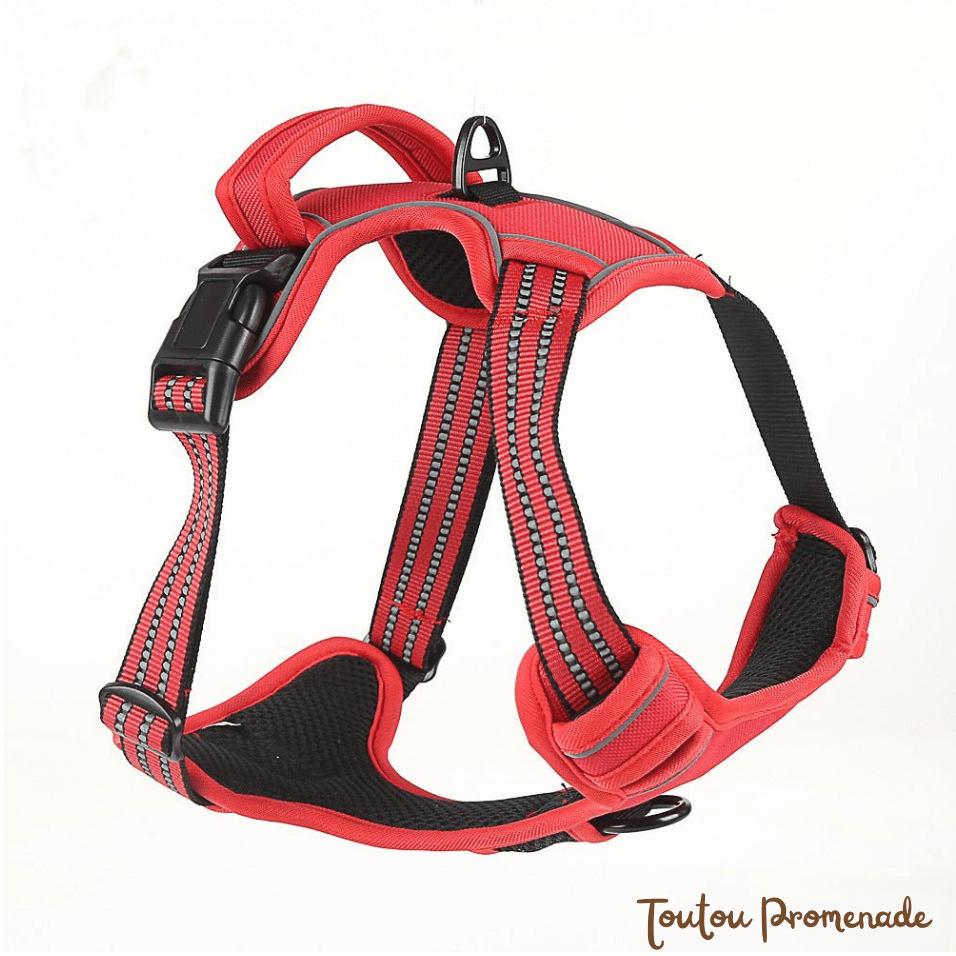 Harnais Chien Respirant & Anti-Traction | AirGuard