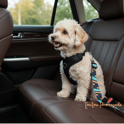 Ceinture de Sécurité Voiture pour Chien | SafeBelt