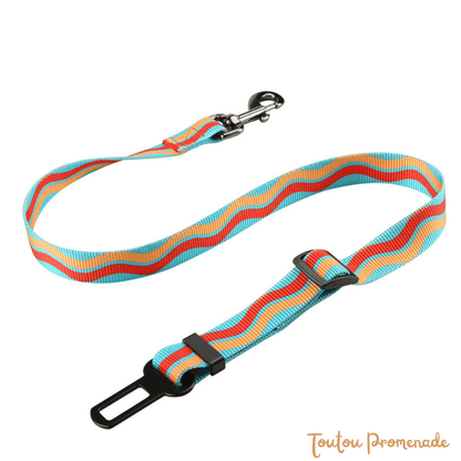 Ceinture de Sécurité Voiture pour Chien | SafeBelt