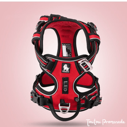 Harnais Chien Ajustable & Résistant | NylonFlex