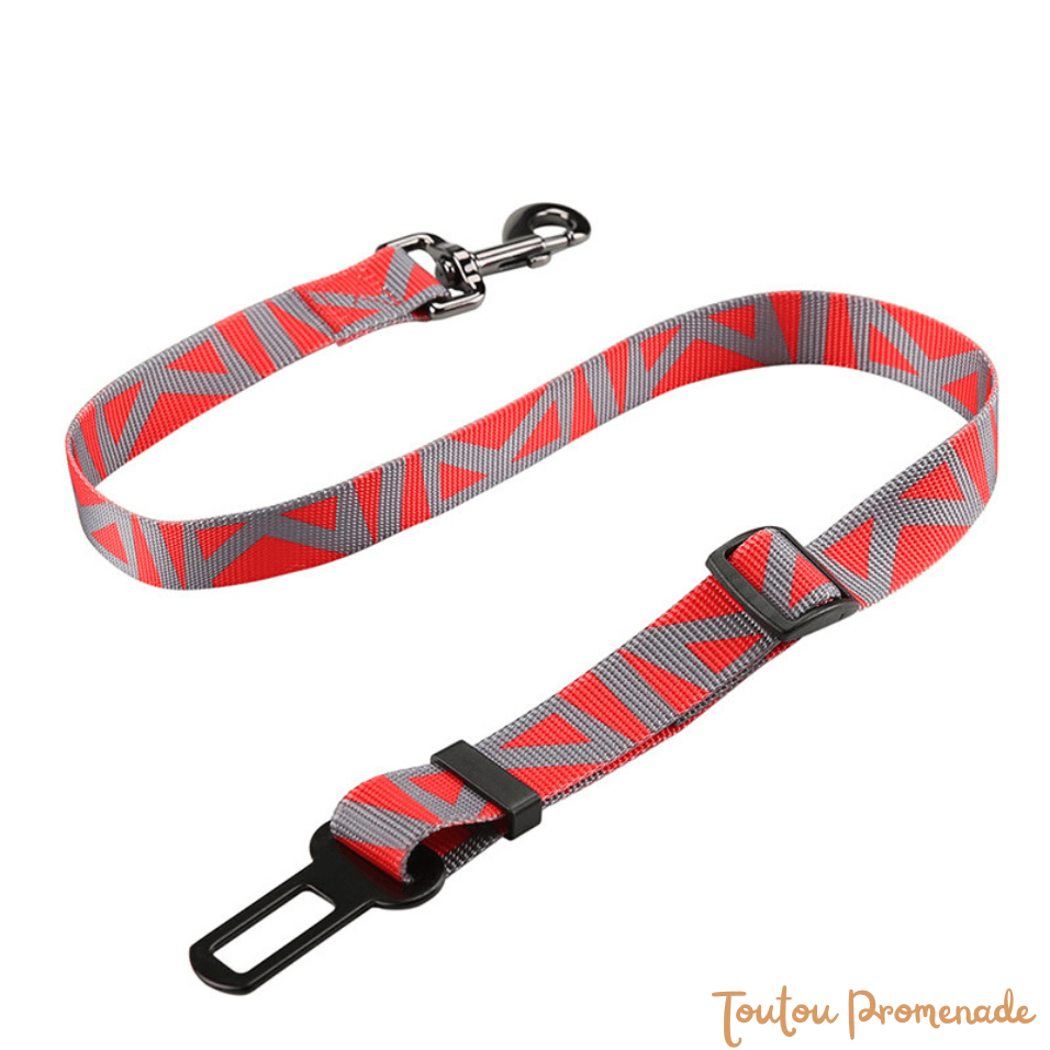 Ceinture de Sécurité Voiture pour Chien | SafeBelt