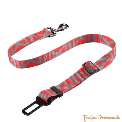 Ceinture de Sécurité Voiture pour Chien | SafeBelt