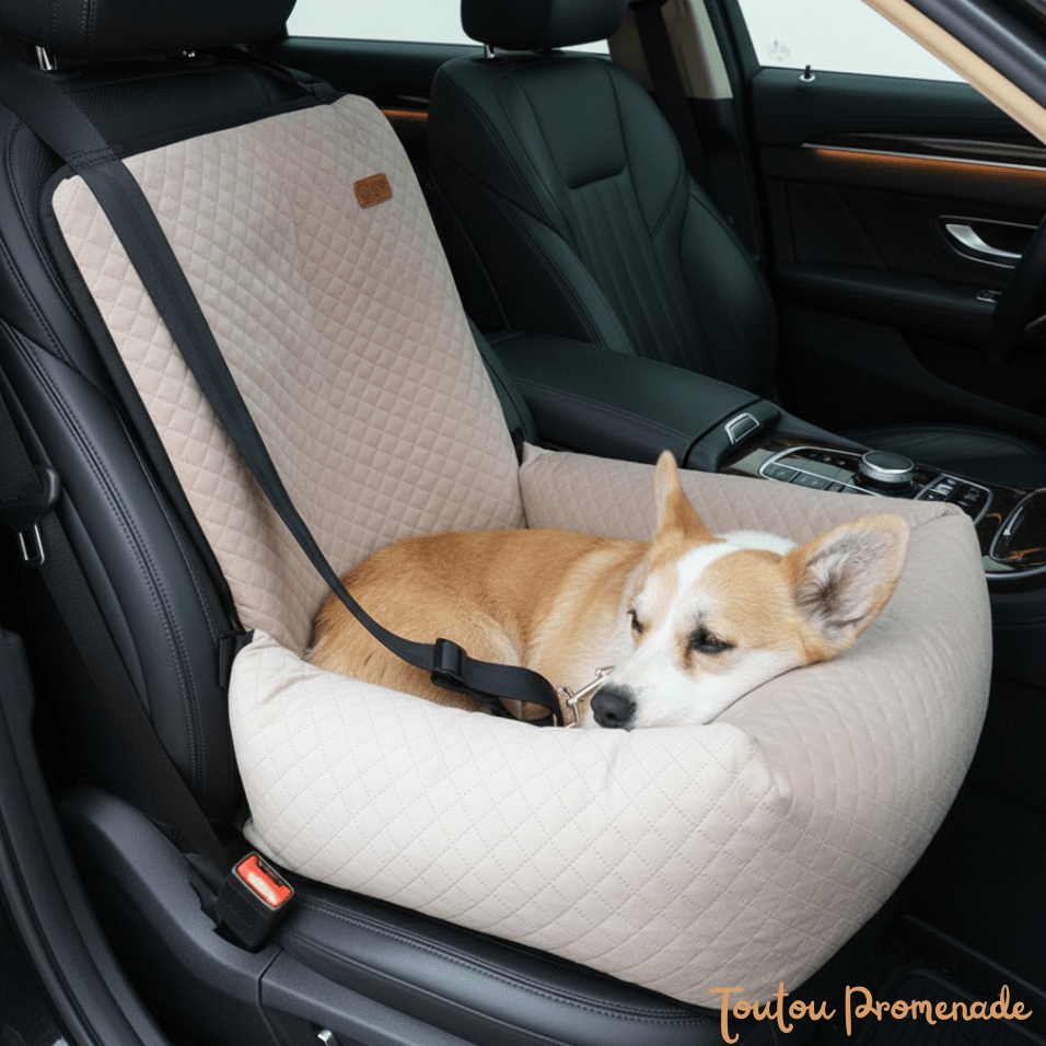 Lit Siège Auto pour Chien | NestRide