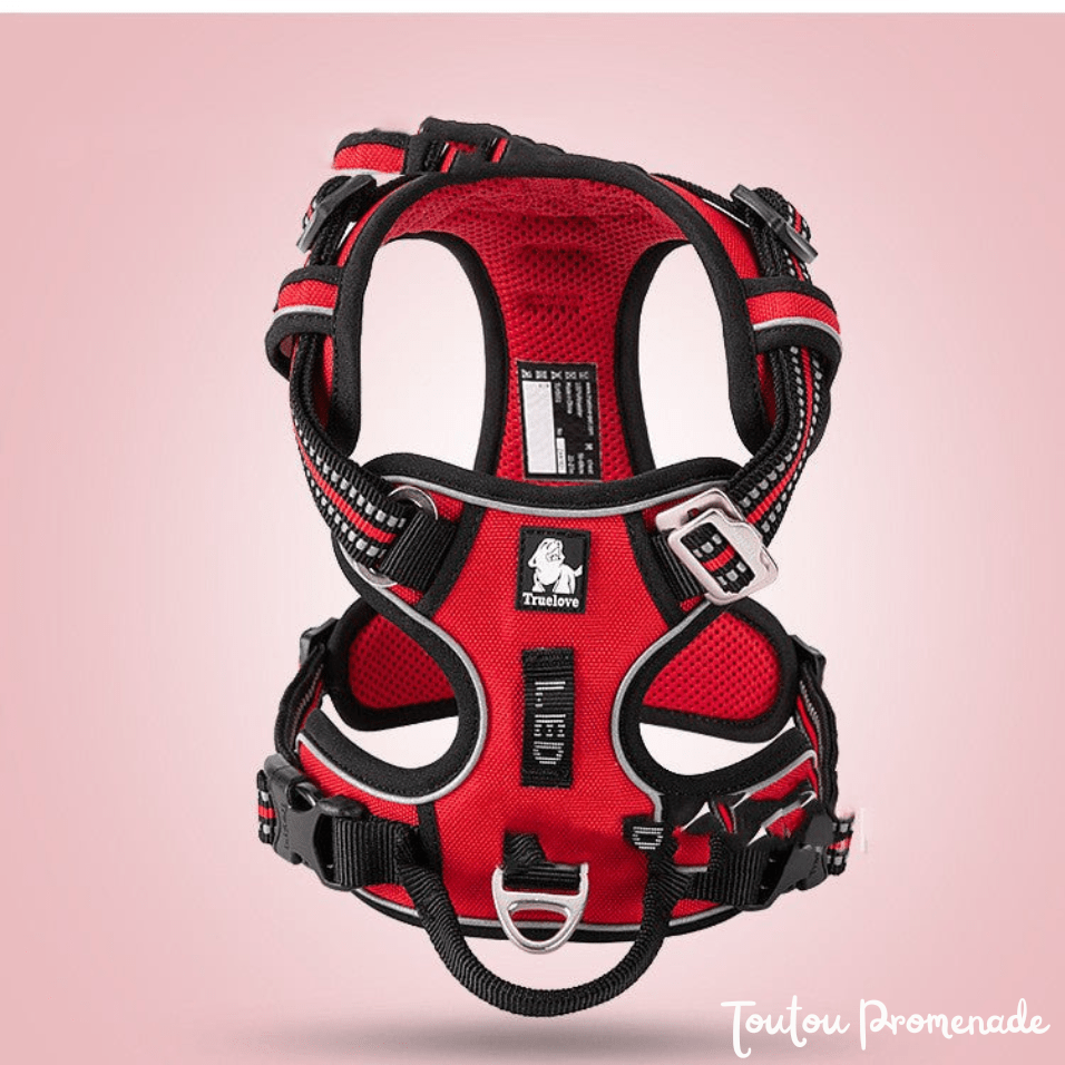 Harnais Chien Ajustable & Résistant | NylonFlex
