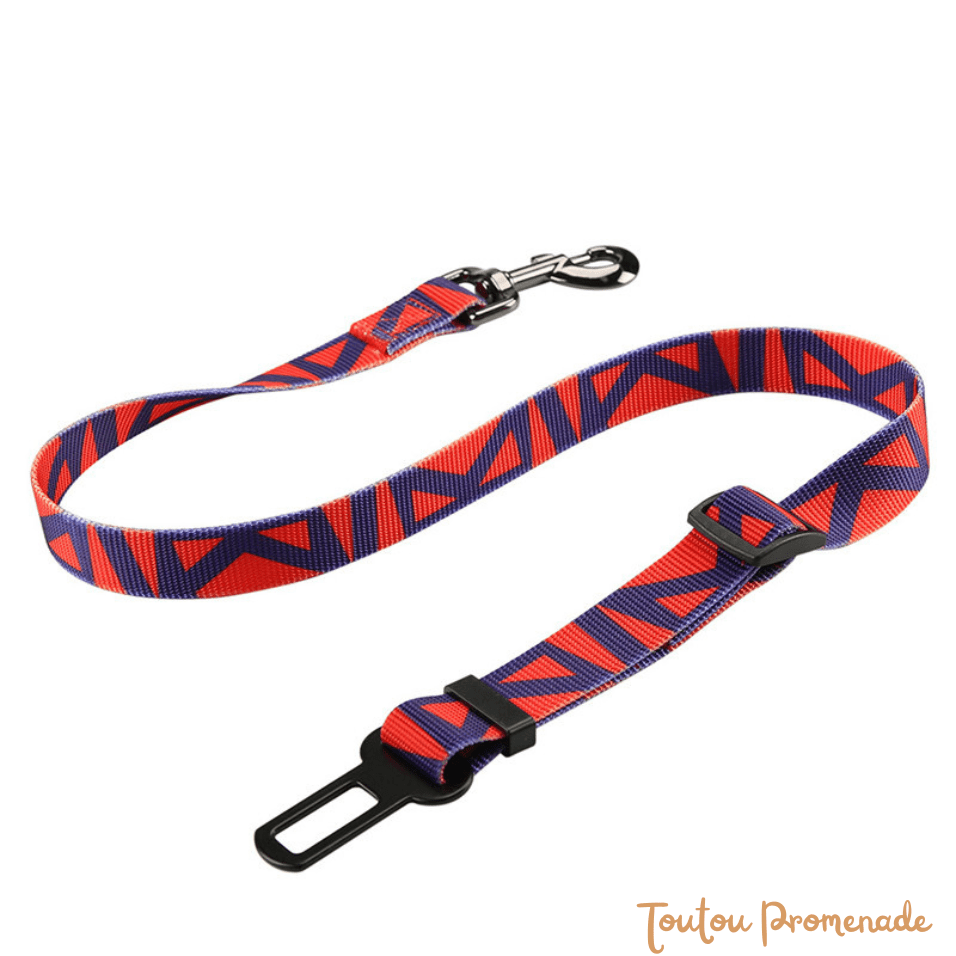 Ceinture de Sécurité Voiture pour Chien | SafeBelt