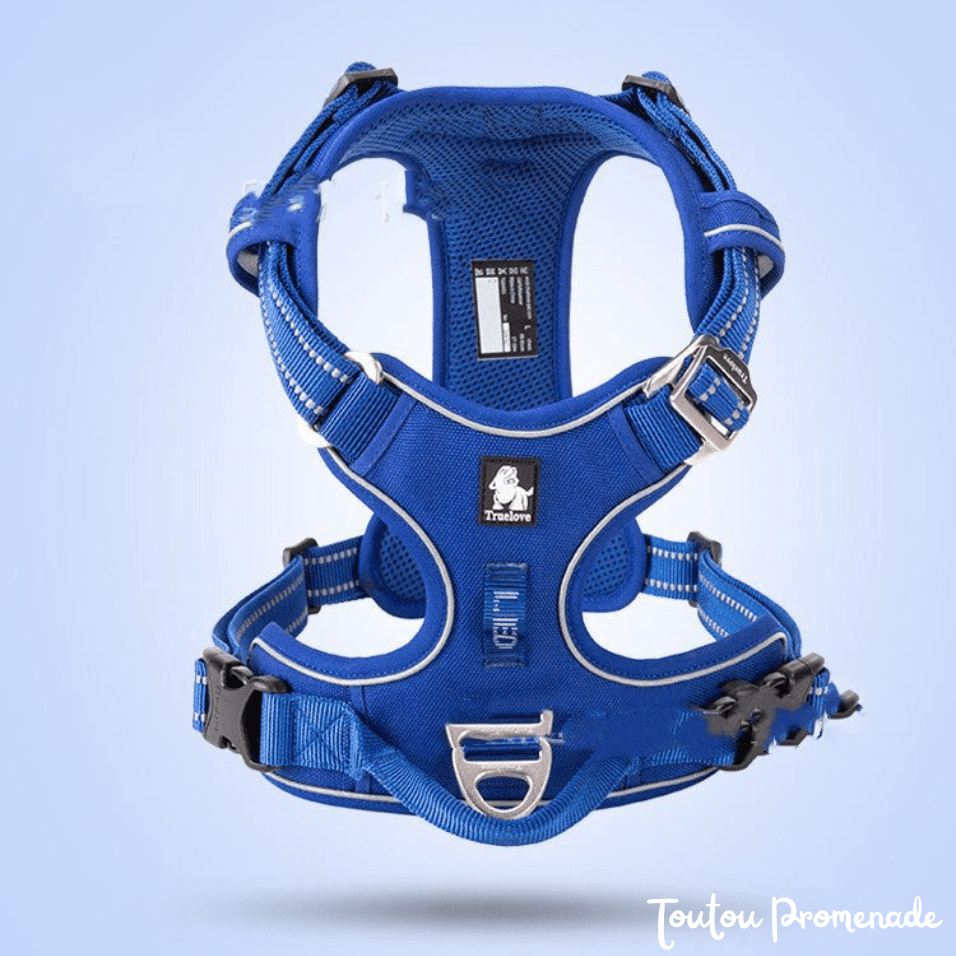 Harnais Chien Ajustable & Résistant | NylonFlex