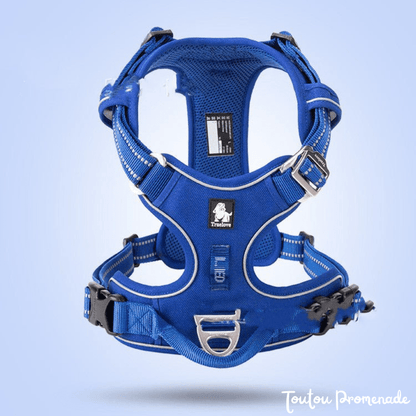 Harnais Chien Ajustable & Résistant | NylonFlex