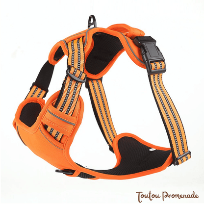 Harnais Chien Respirant & Anti-Traction | AirGuard