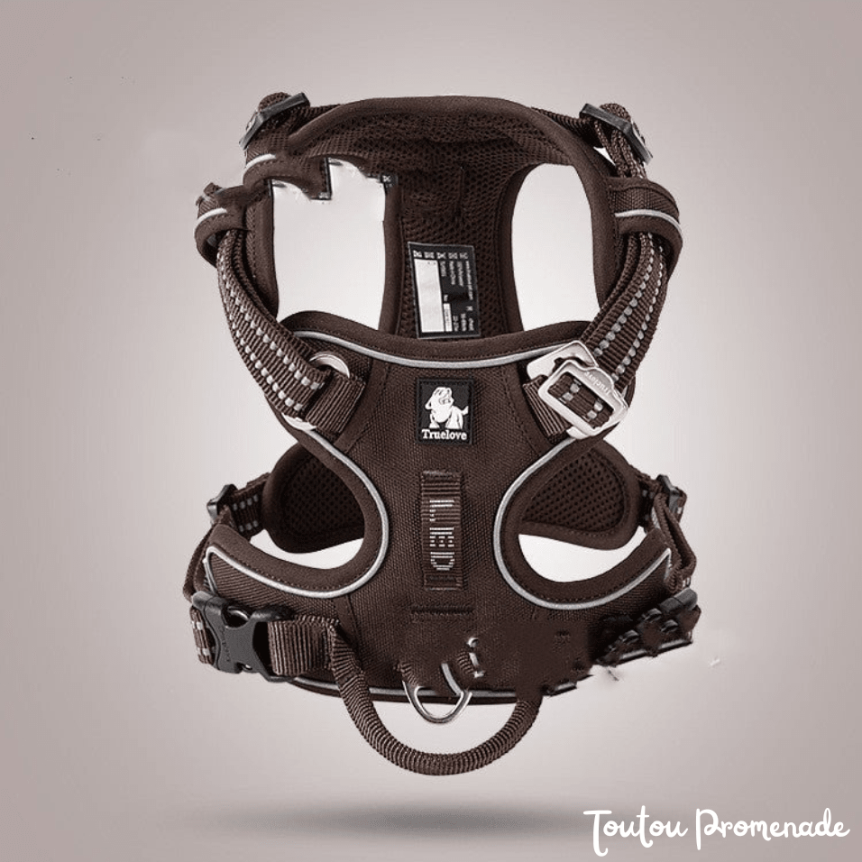 Harnais Chien Ajustable & Résistant | NylonFlex