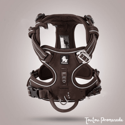 Harnais Chien Ajustable & Résistant | NylonFlex
