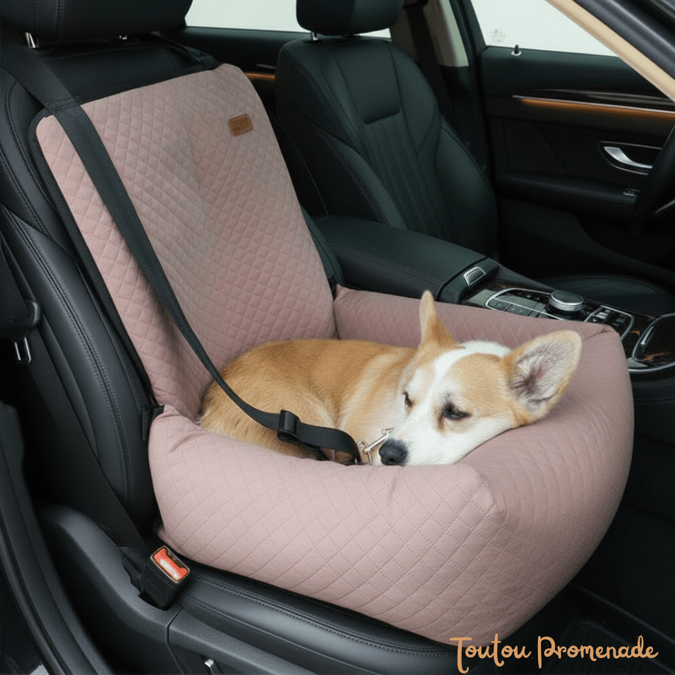 Lit Siège Auto pour Chien | NestRide