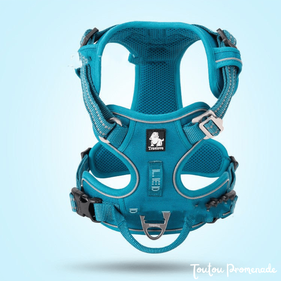 Harnais Chien Ajustable & Résistant | NylonFlex