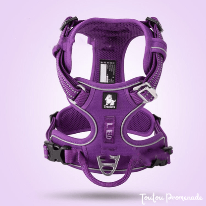 Harnais Chien Ajustable & Résistant | NylonFlex