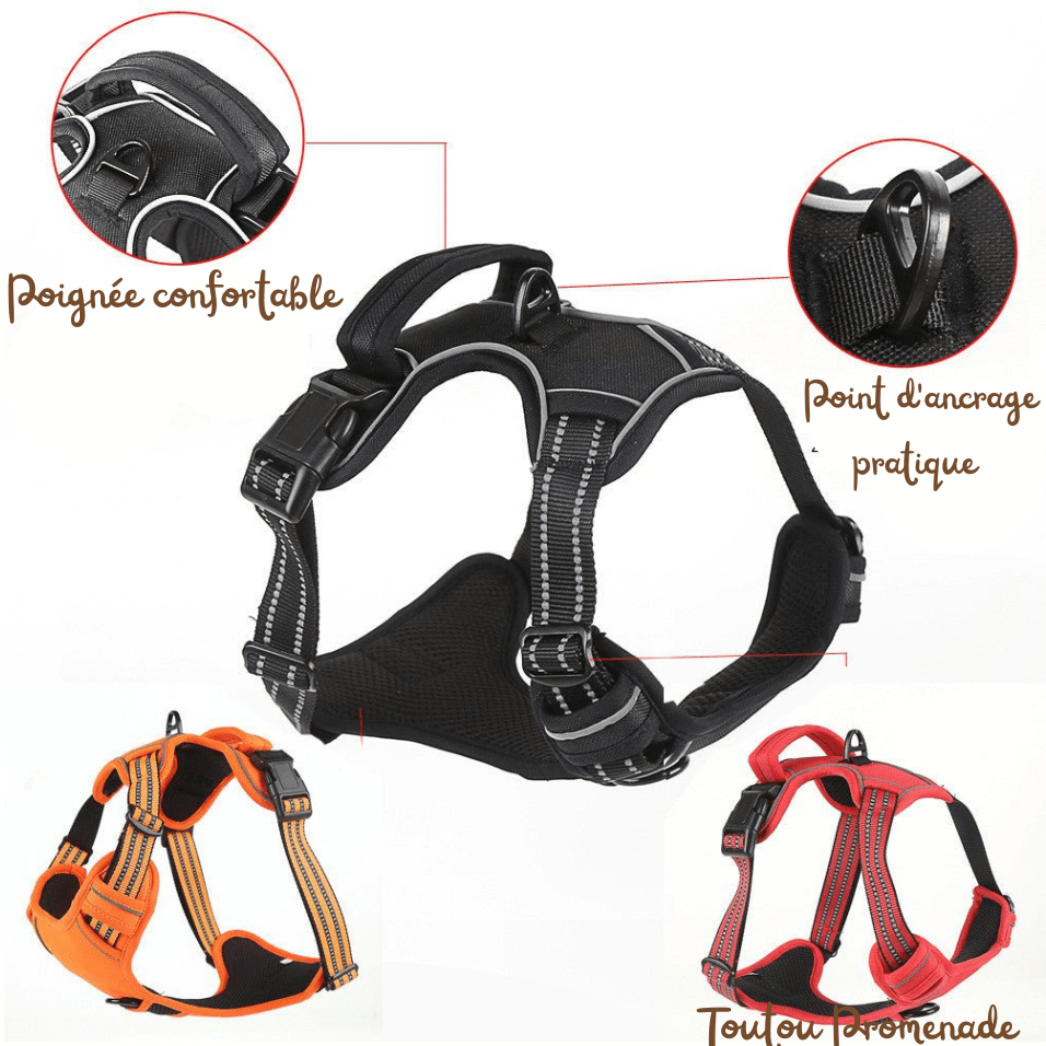 Harnais Chien Respirant & Anti-Traction | AirGuard