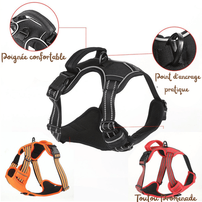 Harnais Chien Respirant & Anti-Traction | AirGuard