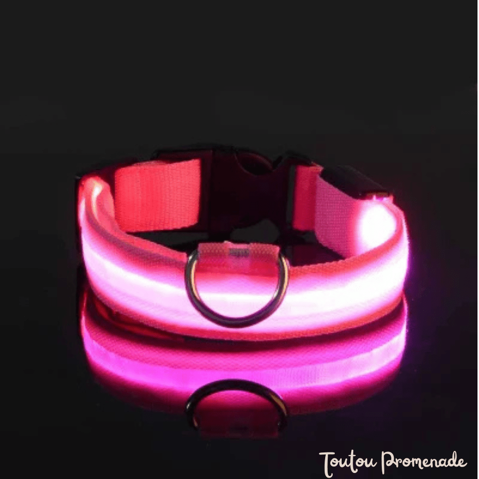 Collier LED LEDCollarDog rose ajustable avec boucle de sécurité robuste