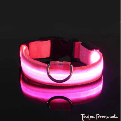 Collier LED LEDCollarDog rose ajustable avec boucle de sécurité robuste