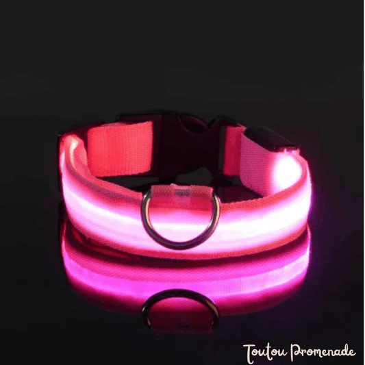 Collier LED LEDCollarDog rose ajustable avec boucle de sécurité robuste