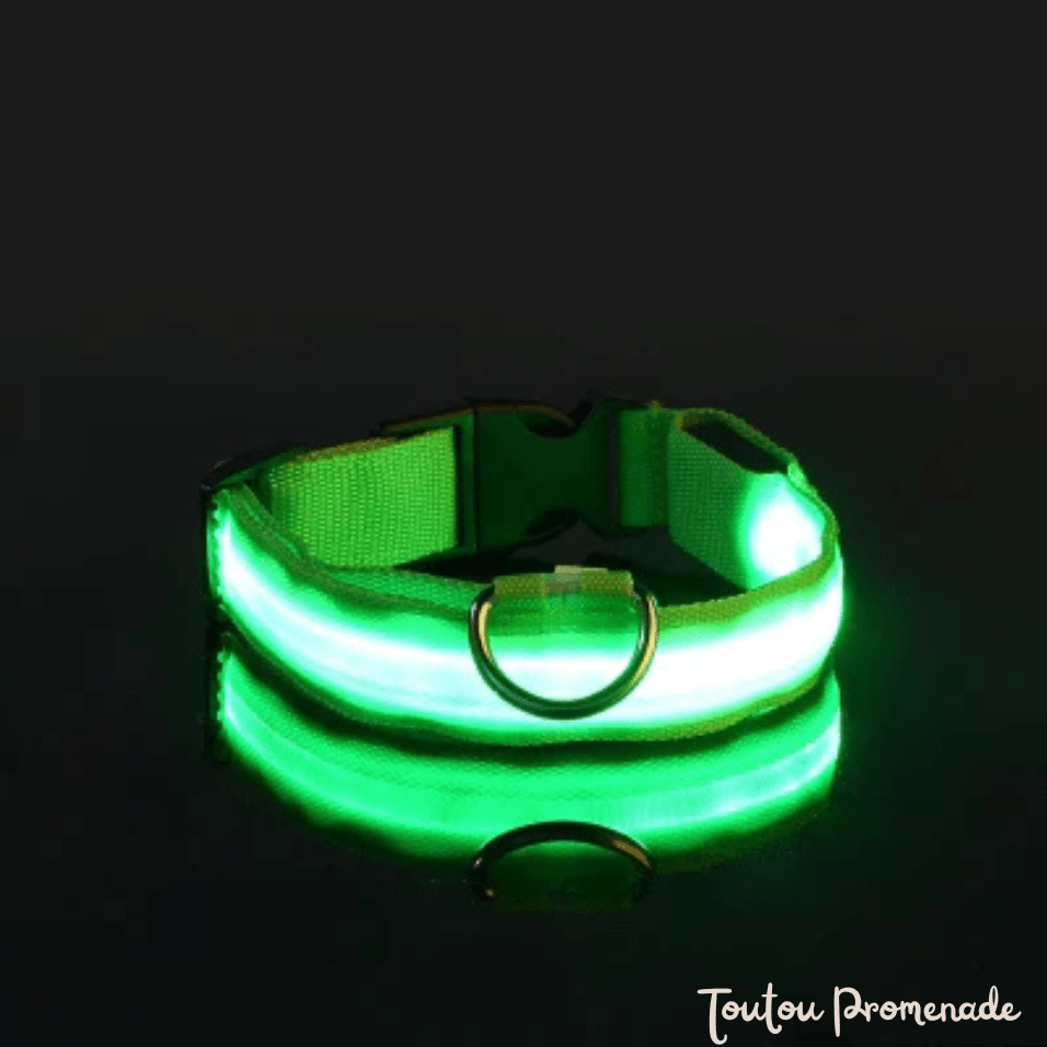 Collier LED LEDCollarDog vert ajustable avec boucle de sécurité robuste