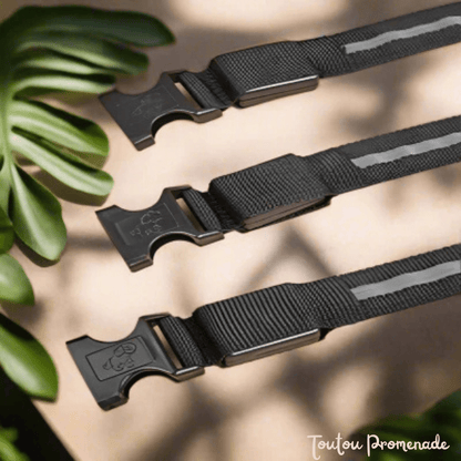 Détail du port de recharge USB et modes d'éclairage du collier LED noir 