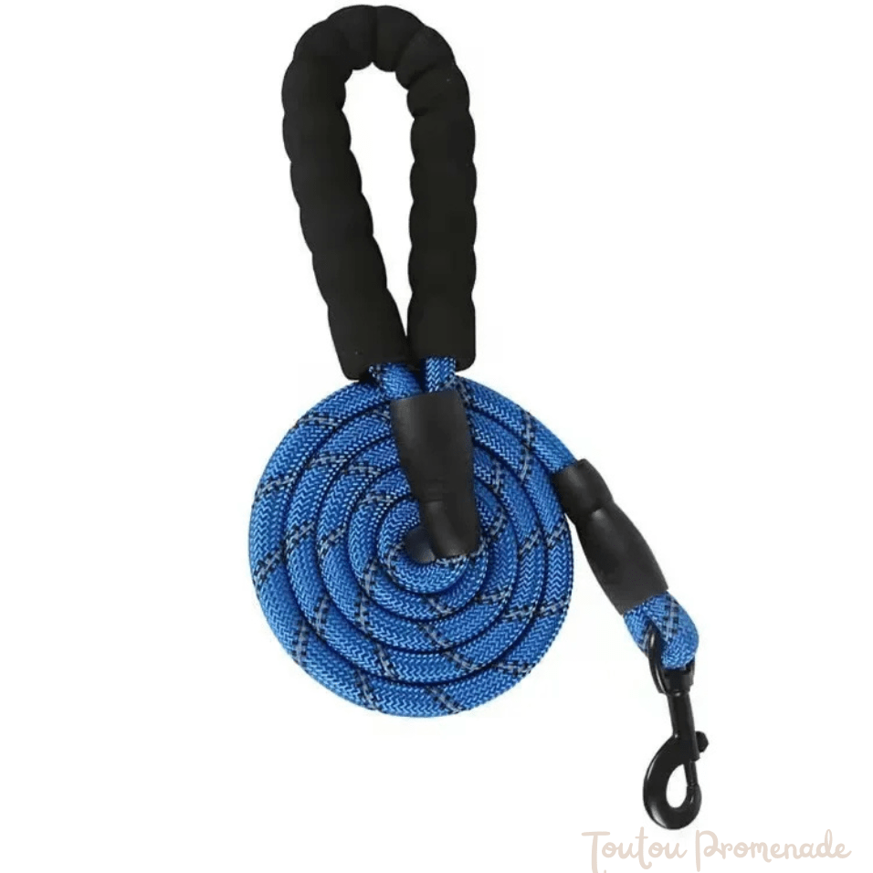 Laisse pour chien | ReflexGrip