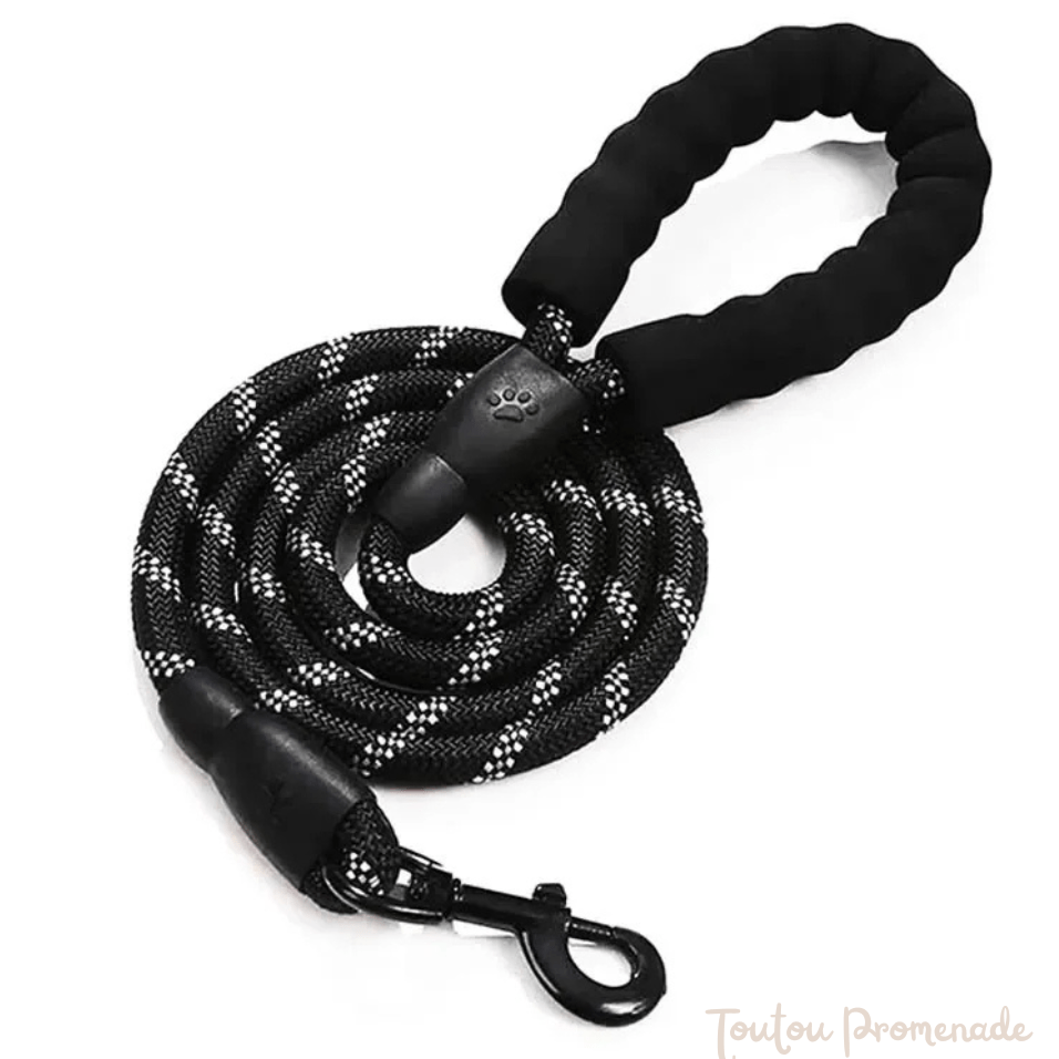 Laisse pour chien| ReflexGrip