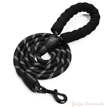 Laisse pour chien| ReflexGrip