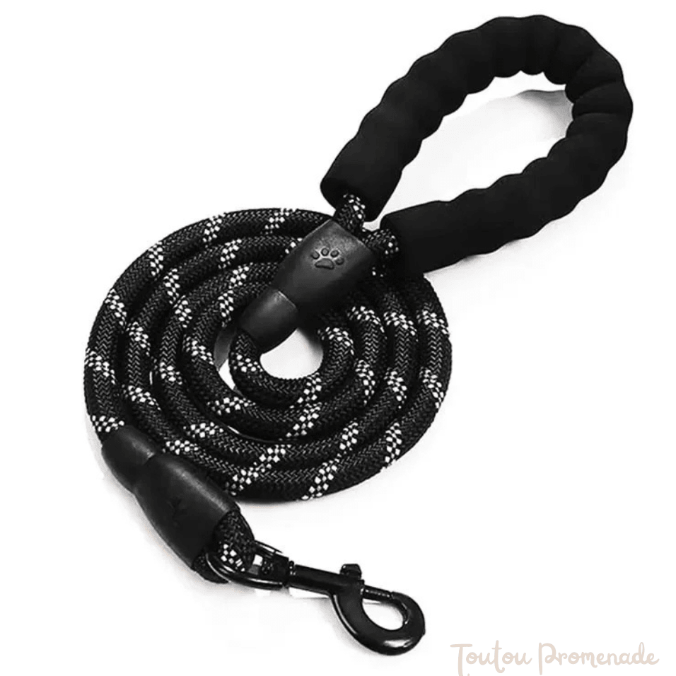 Laisse pour chien | ReflexGrip