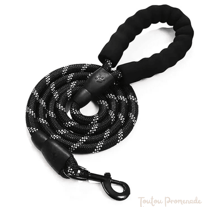 Laisse pour chien | ReflexGrip