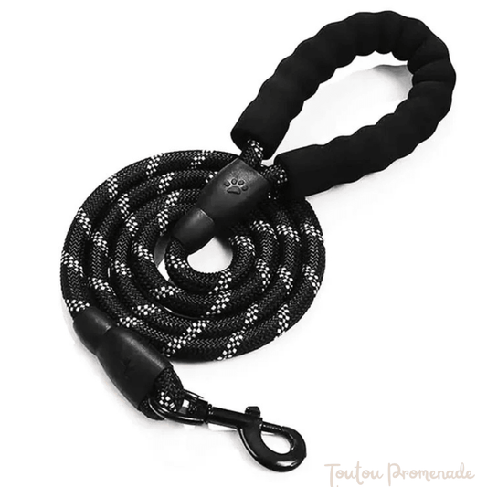 Laisse pour chien | ReflexGrip