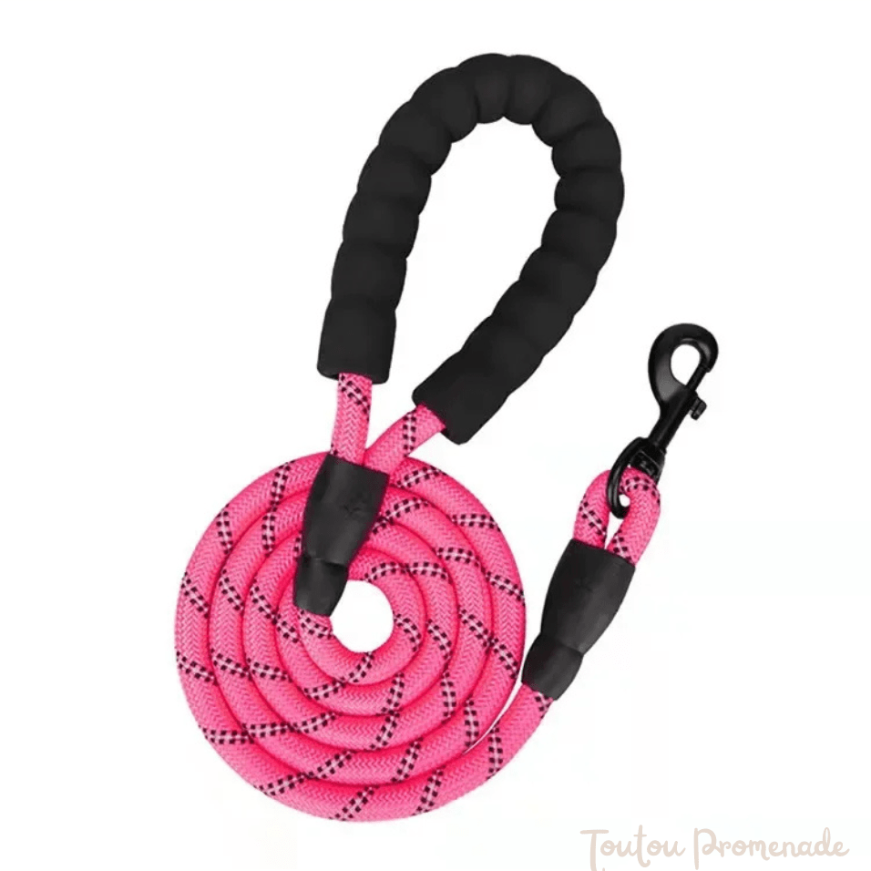 Laisse pour chien | ReflexGrip