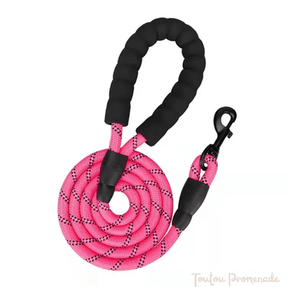 Laisse pour chien | ReflexGrip