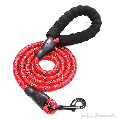 Laisse pour chien | ReflexGrip