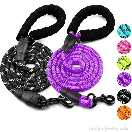 Laisse pour chien| ReflexGrip