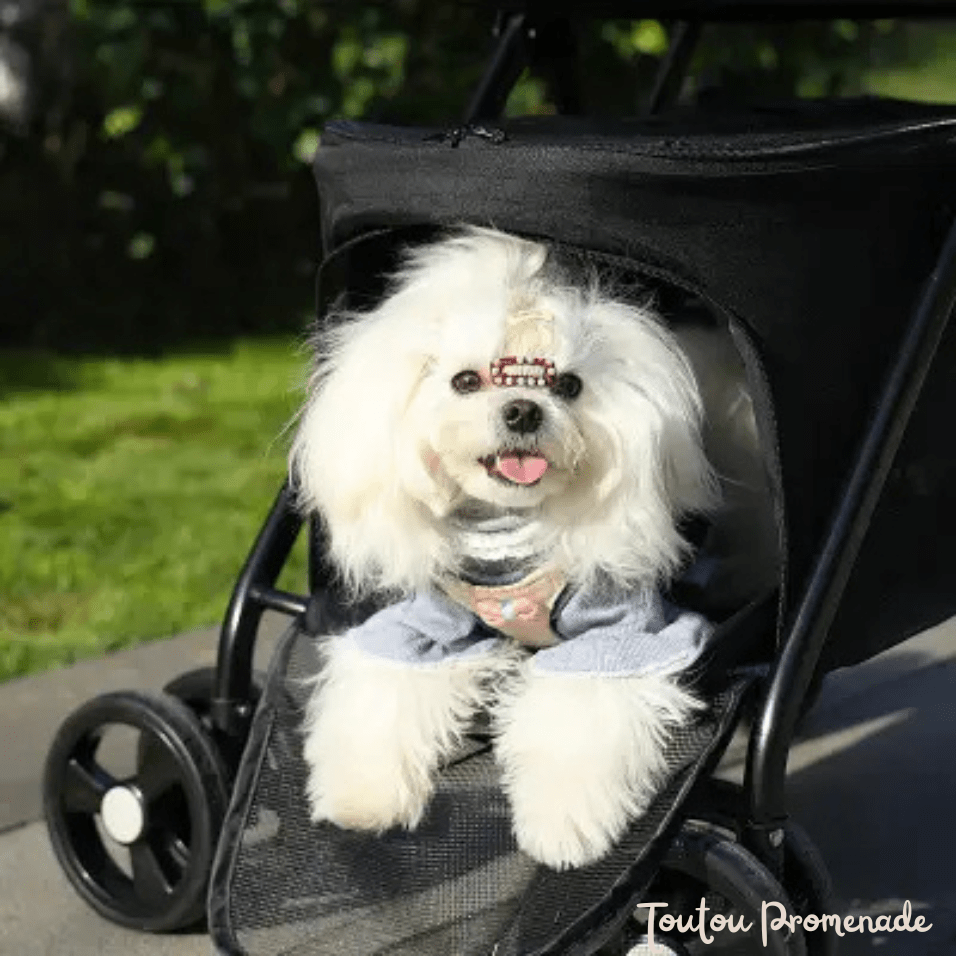Poussette PetStroller beige avec roues tout-terrain et ventilation mesh pour petits chiens
