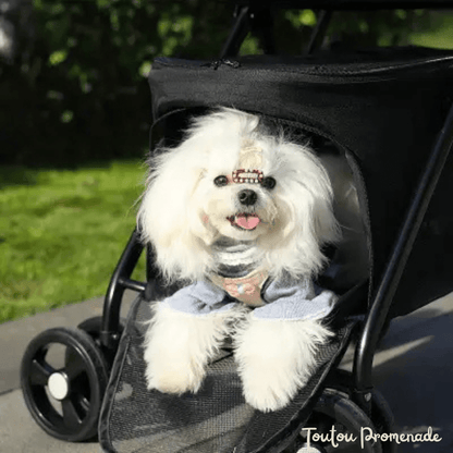 Poussette PetStroller beige avec roues tout-terrain et ventilation mesh pour petits chiens