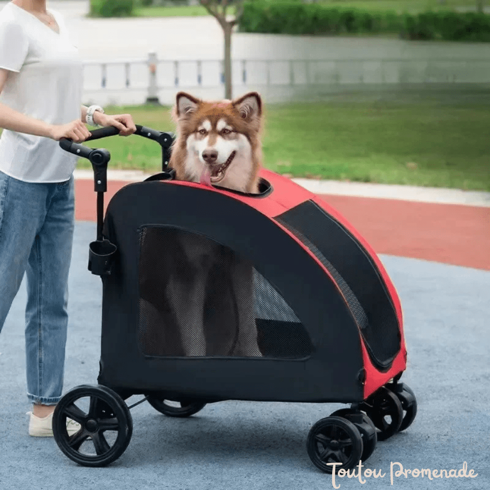 chien en promenade dans la poussette StrollyPet rouge