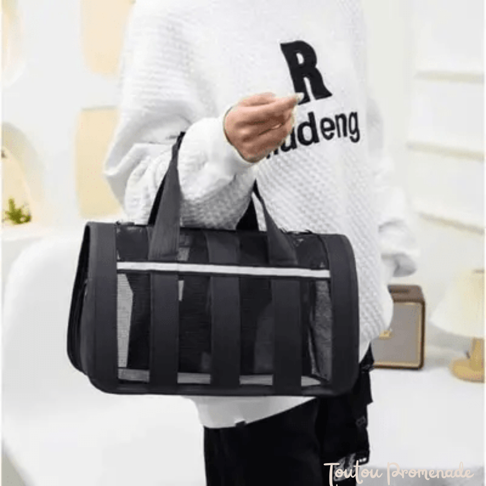 Petit chien confortablement installé dans le sac de transport MeshPetCarrier noir